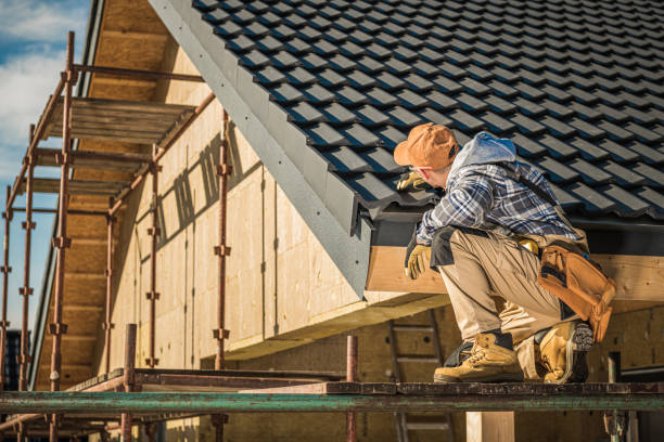 Best Roof Maintenance and Cleaning  in Bellevue, WI